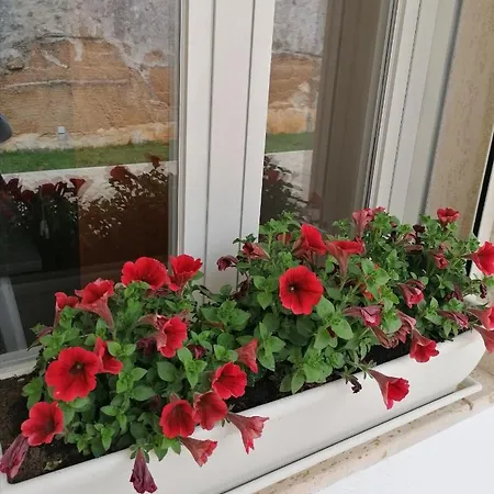 Vakantiehuis Casa Diamante, A 50mt Dal Mare *